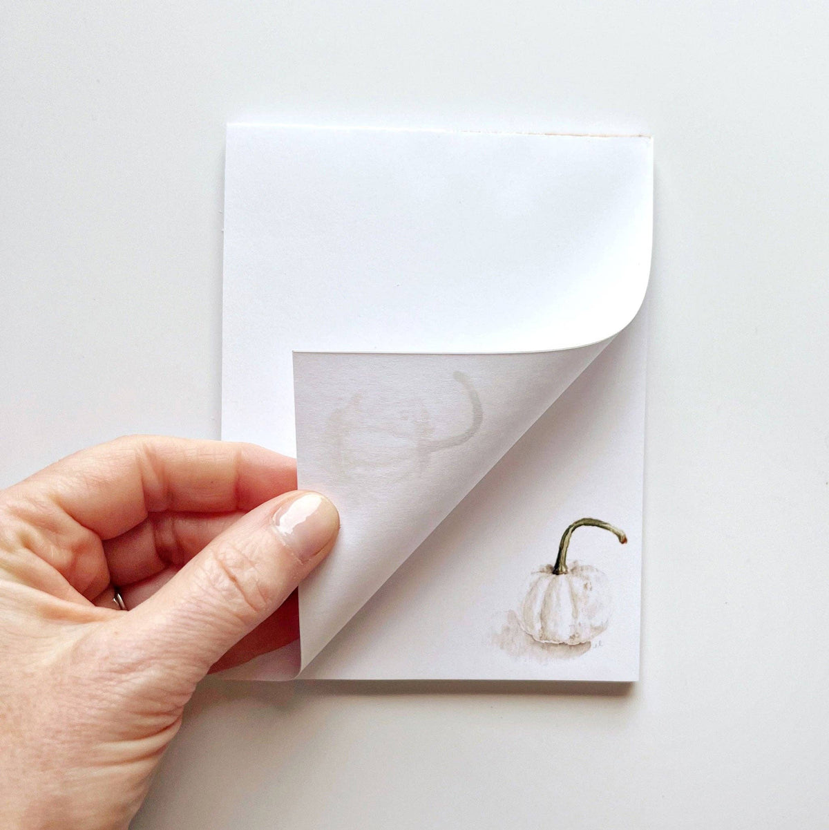 emily lex studio White Pumpkin Notepad