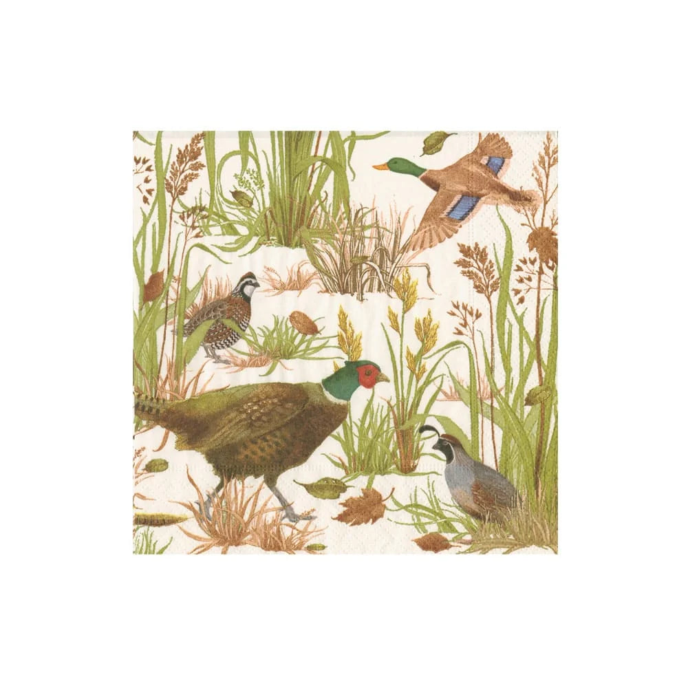Caspari Birds Of A Feather Cocktail Napkins, Set of 20
