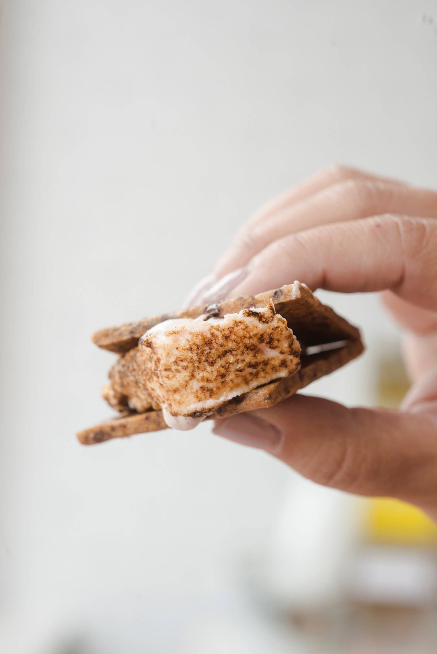 Hudson Valley Marshmallow Company Cinnamon Sugar Graham Crackers