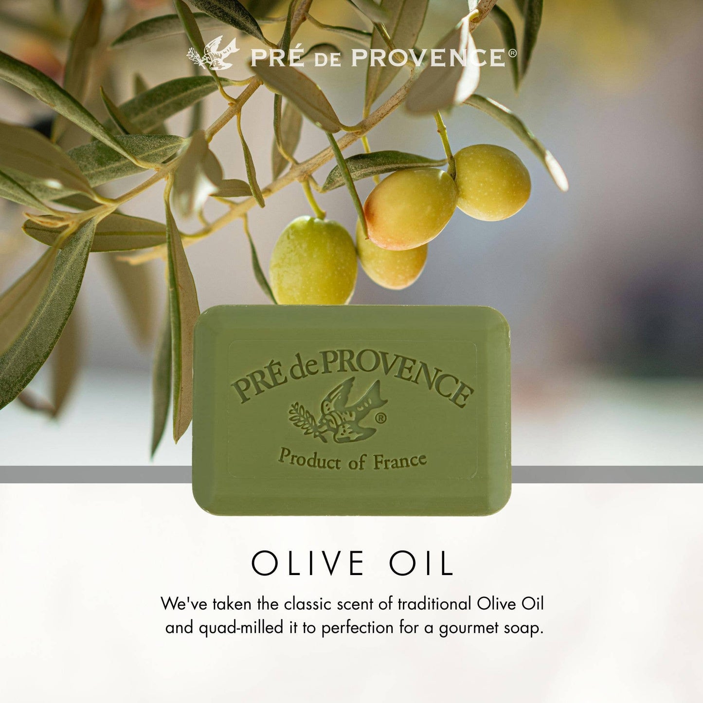 European Soaps - Olive Oil Soap Bar - 250g