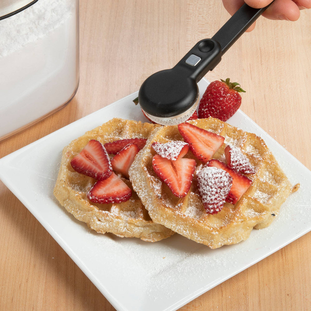 Progressive PrepWorks Powdered Sugar ProKeeper+
