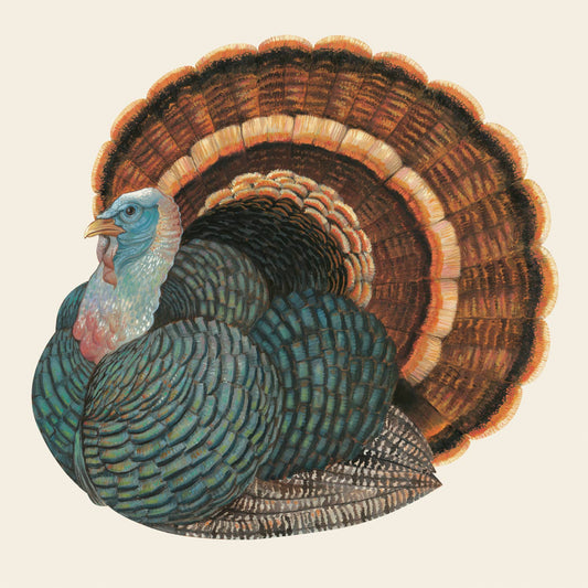 Hester & Cook Heritage Turkey Cocktail Napkin, Pack of 20