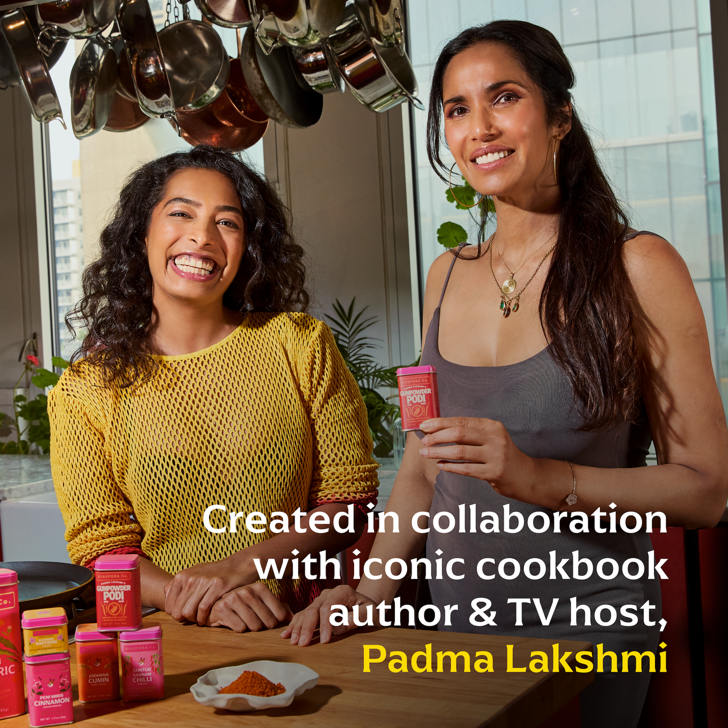 Diaspora Spice Padma Lakshmi's Gunpowder Podi Spice Blend
