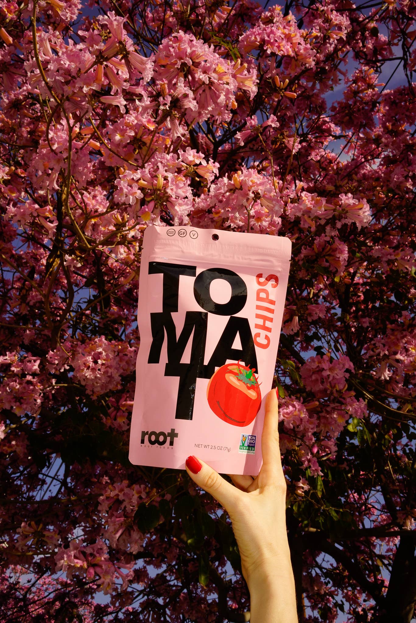 Root Foods Tomato Chips