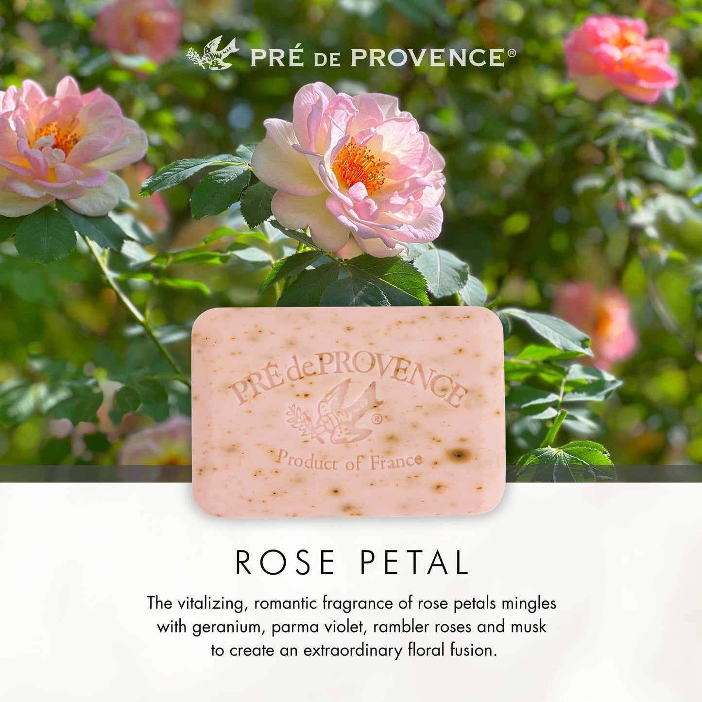 European Soaps - Rose Petal Soap Bar - 250 g