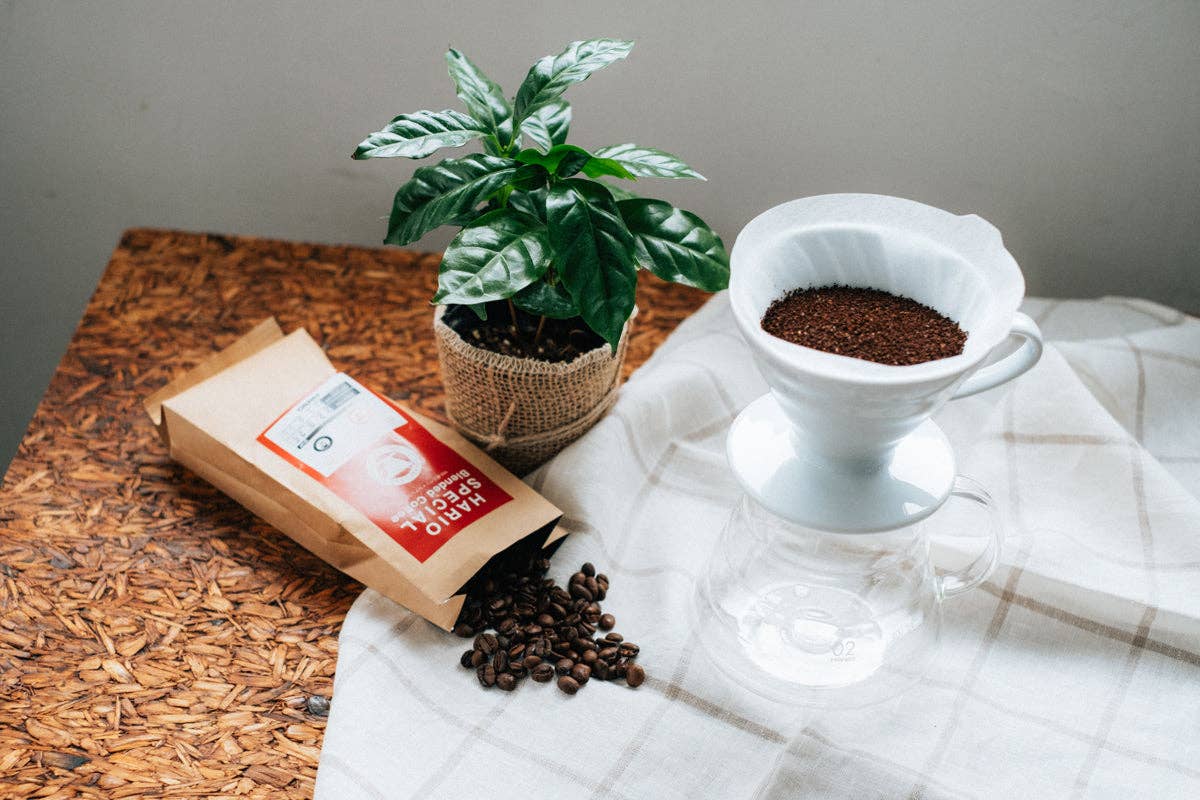 Hario V60 Ceramic Coffee Dripper 02