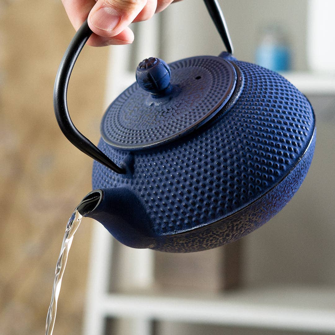 Urban Tokyo Navy Blue Hobnail Design Cast Iron Tea Pot, 27oz