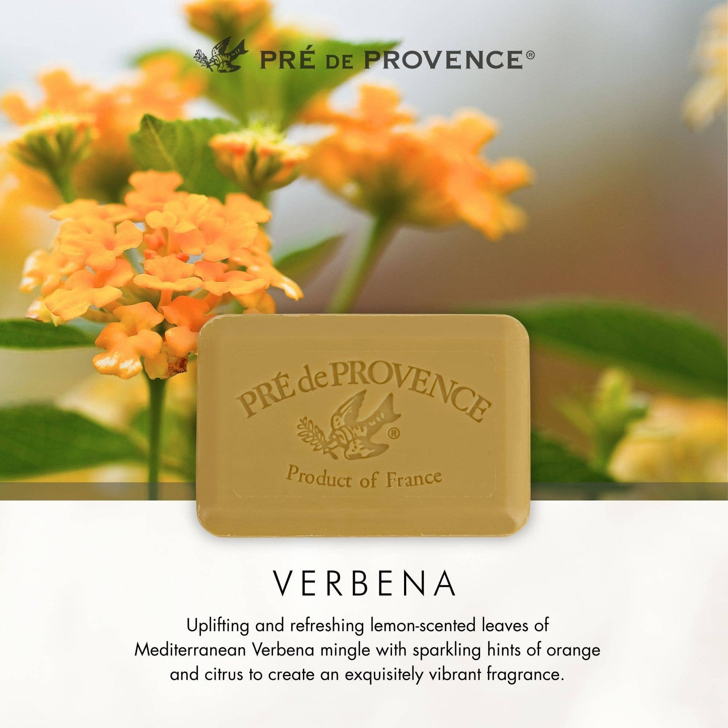 European Soaps - Verbena Soap Bar - 250 g