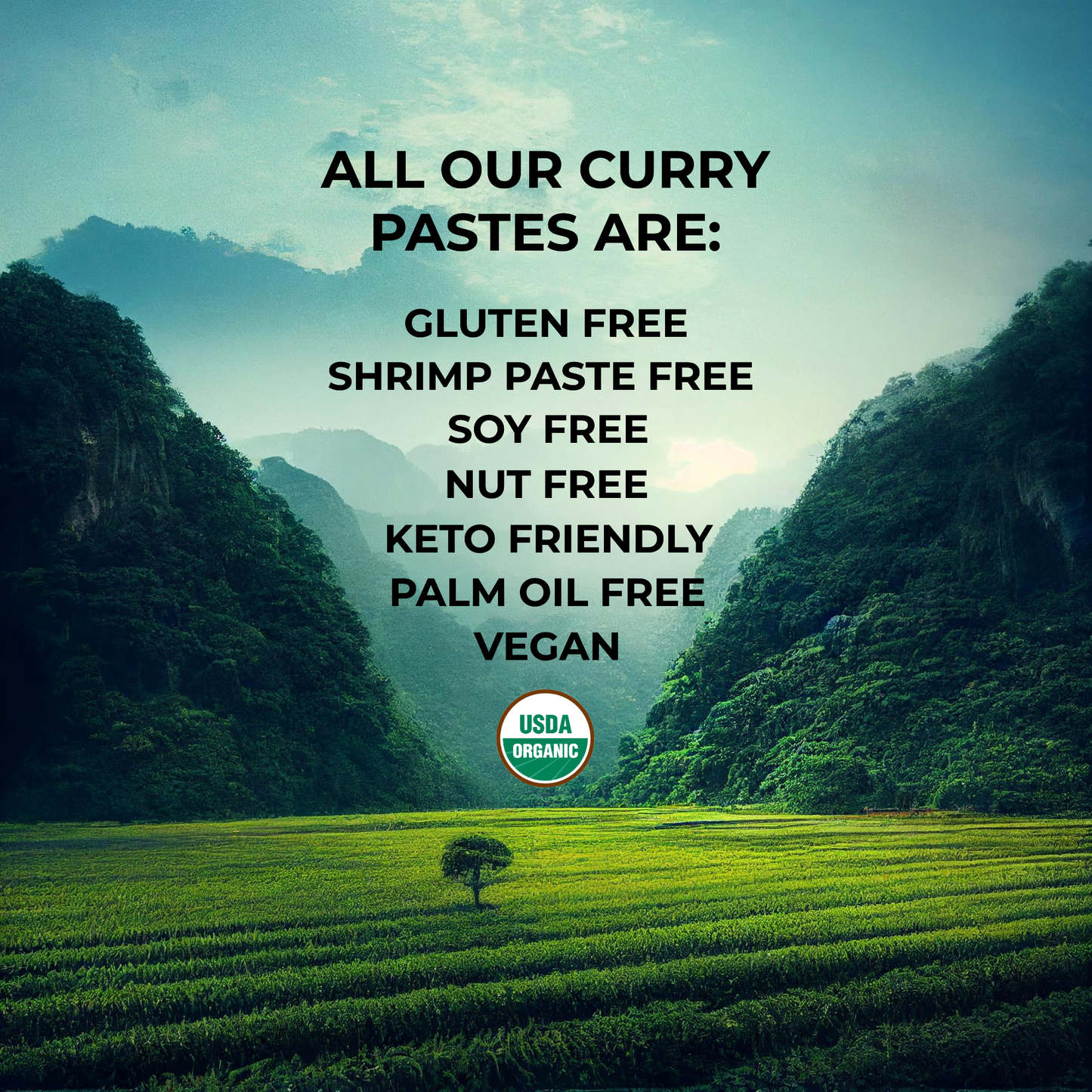 Mike's Organic Curry Love Green Thai Curry Paste