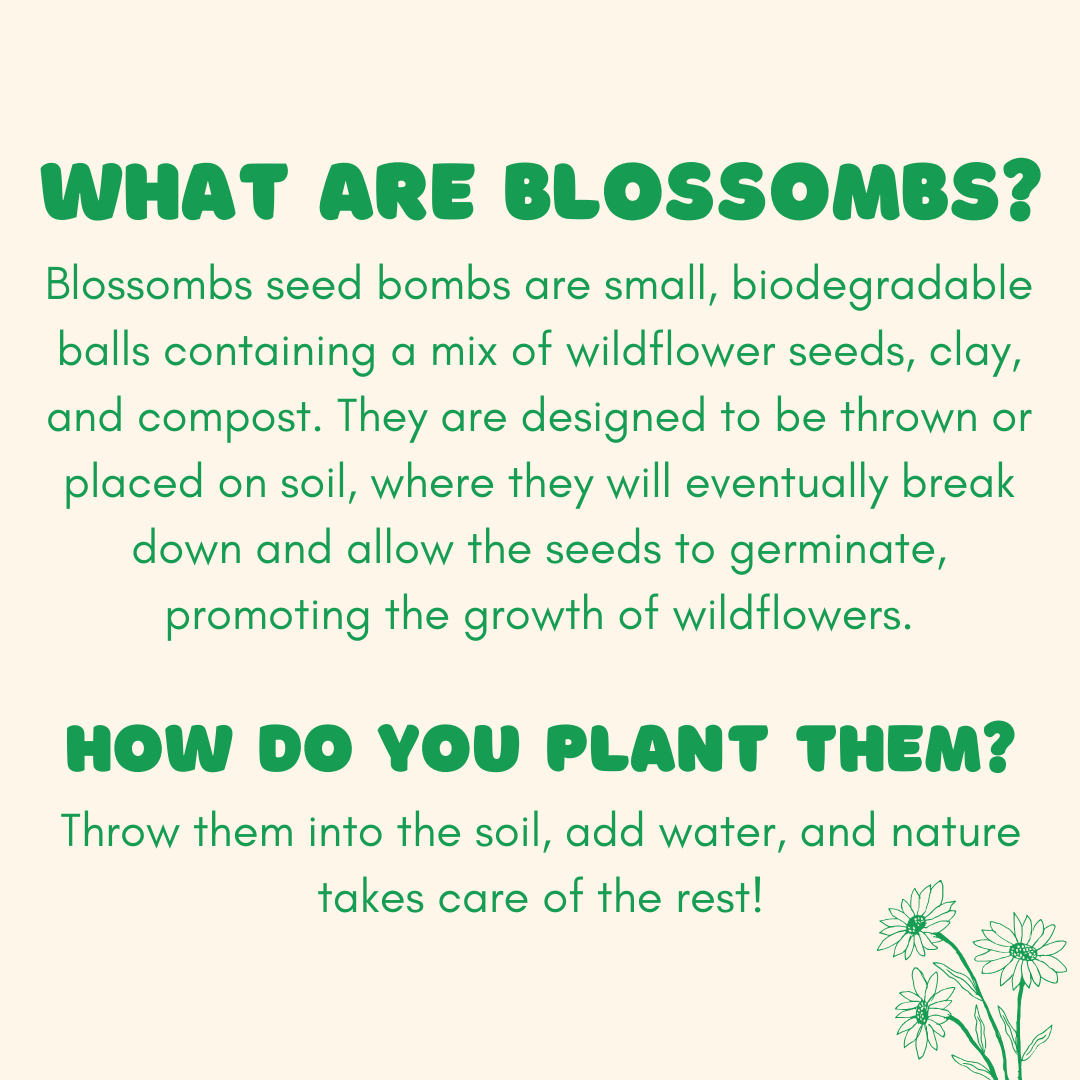 Blossombs Egg Box- Hello Spring, 8 Seed Bomb Balls