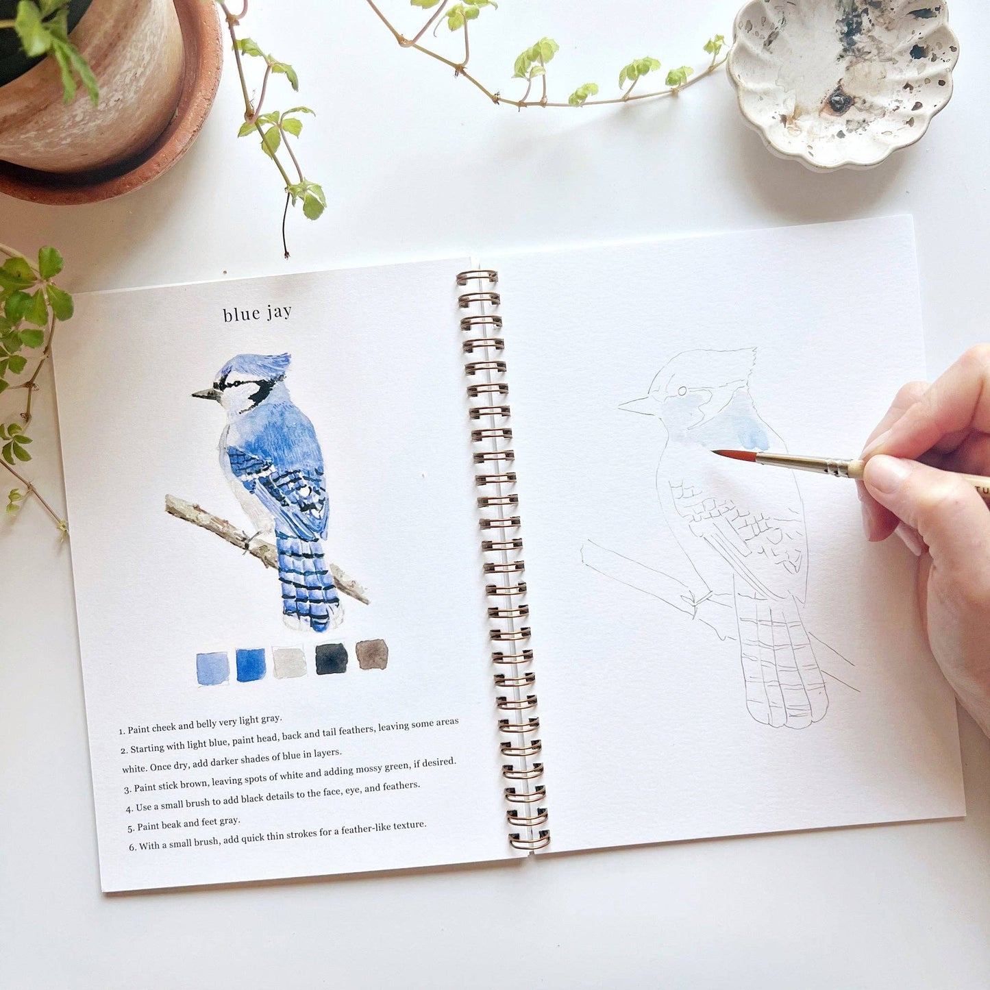 emily lex studio Birds Watercolor Workbook