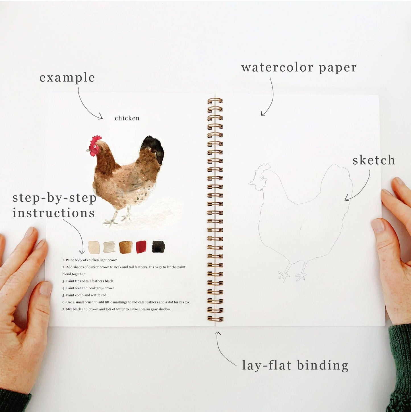 emily lex studio - Animals watercolor workbook