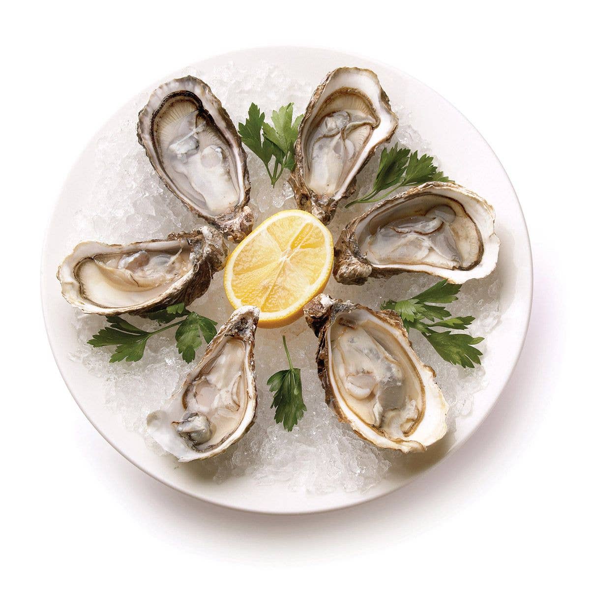 HIC - Harold Import Co. - Maine Man Oyster Knife