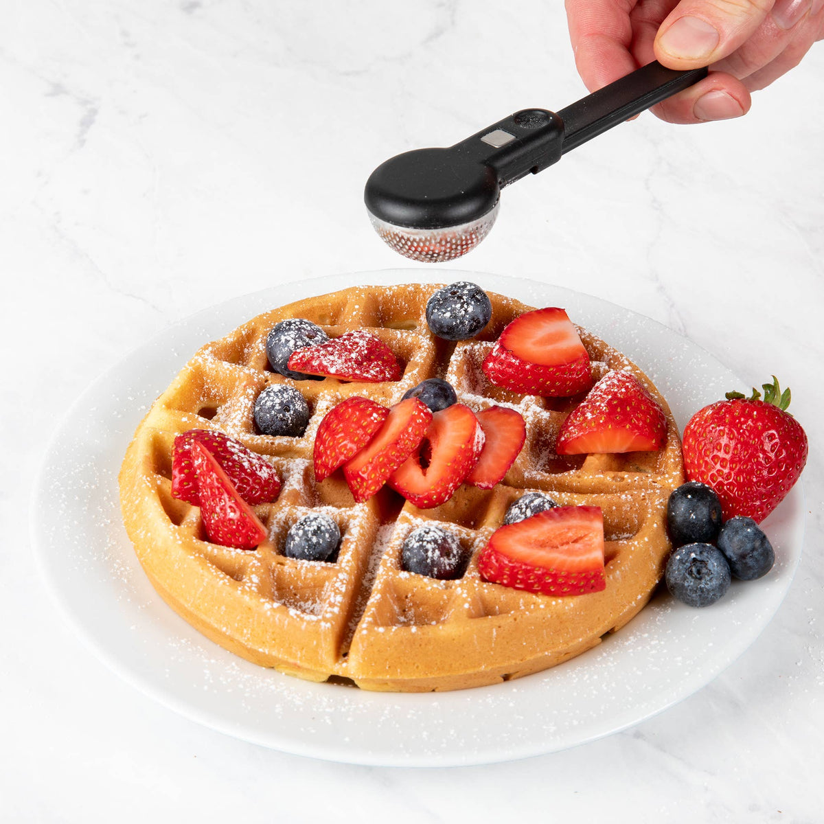 Progressive PrepWorks Powdered Sugar ProKeeper+