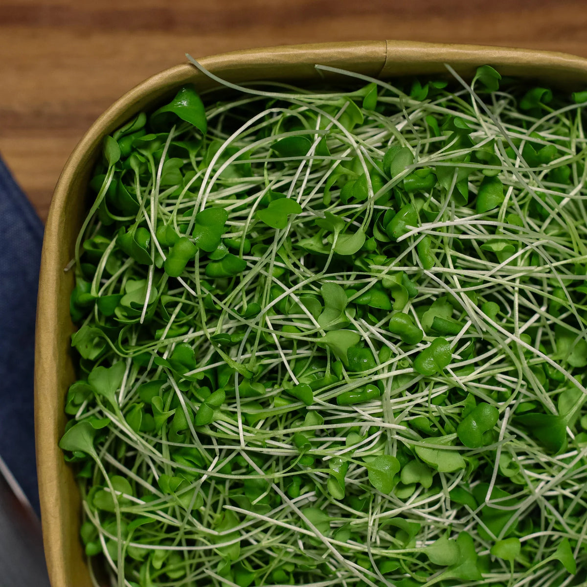 Pinky's Micros Broccoli, 2oz