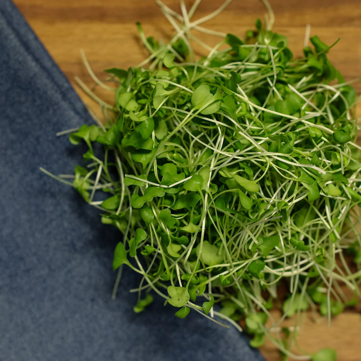 Pinky's Micros Broccoli, 2oz