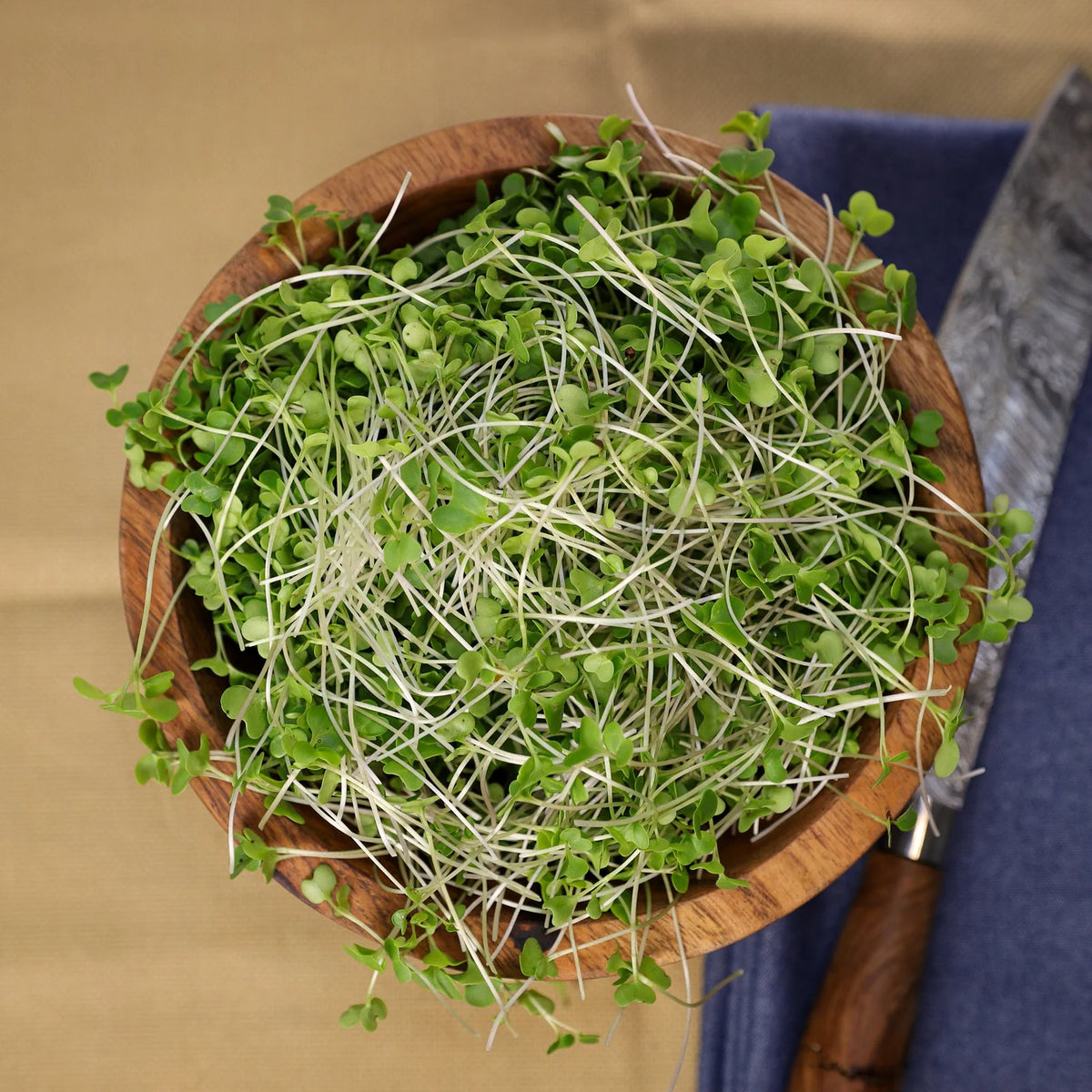 Pinky's Micros Broccoli, 2oz