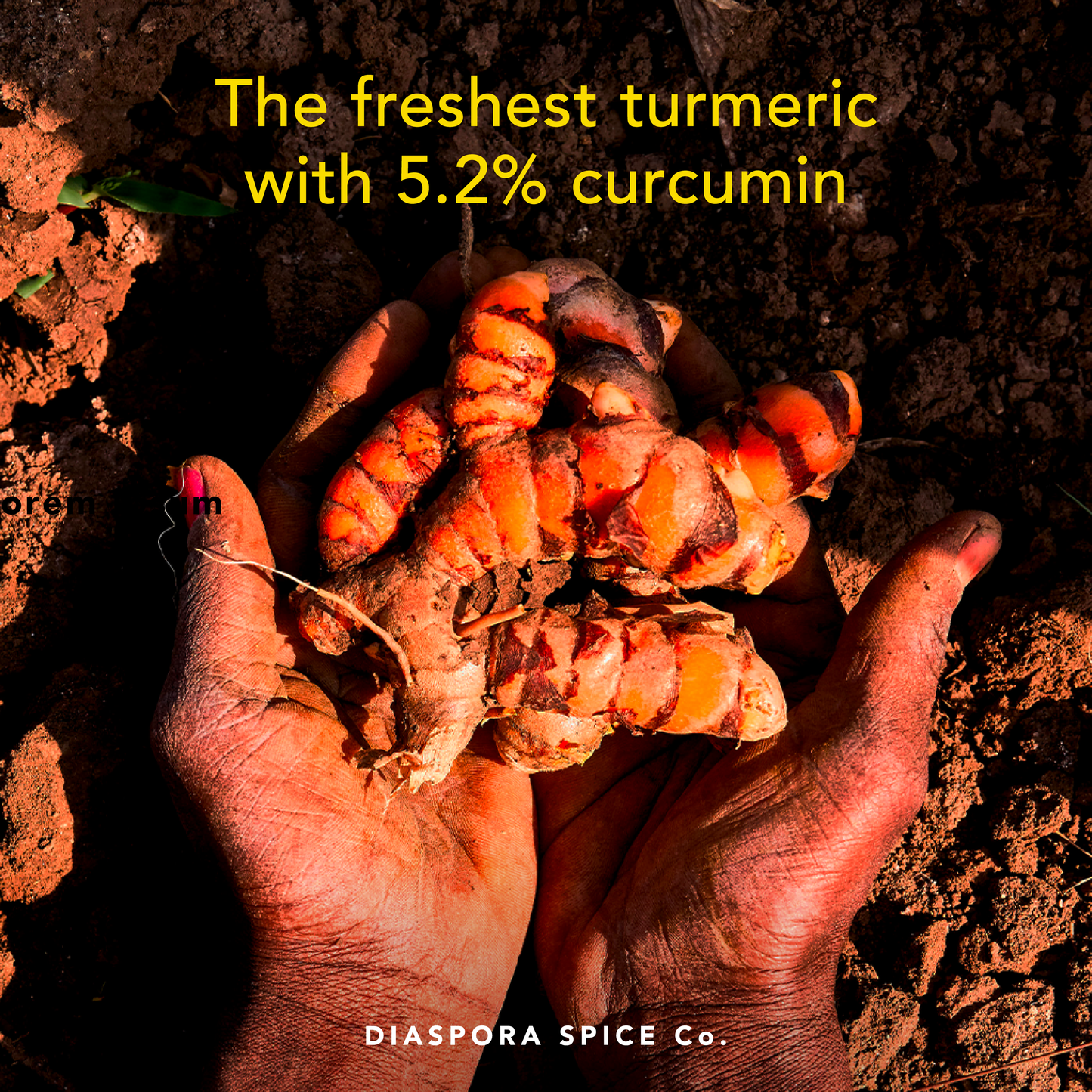 Diaspora Spice Pragati Turmeric Powder, Single-Origin Spice