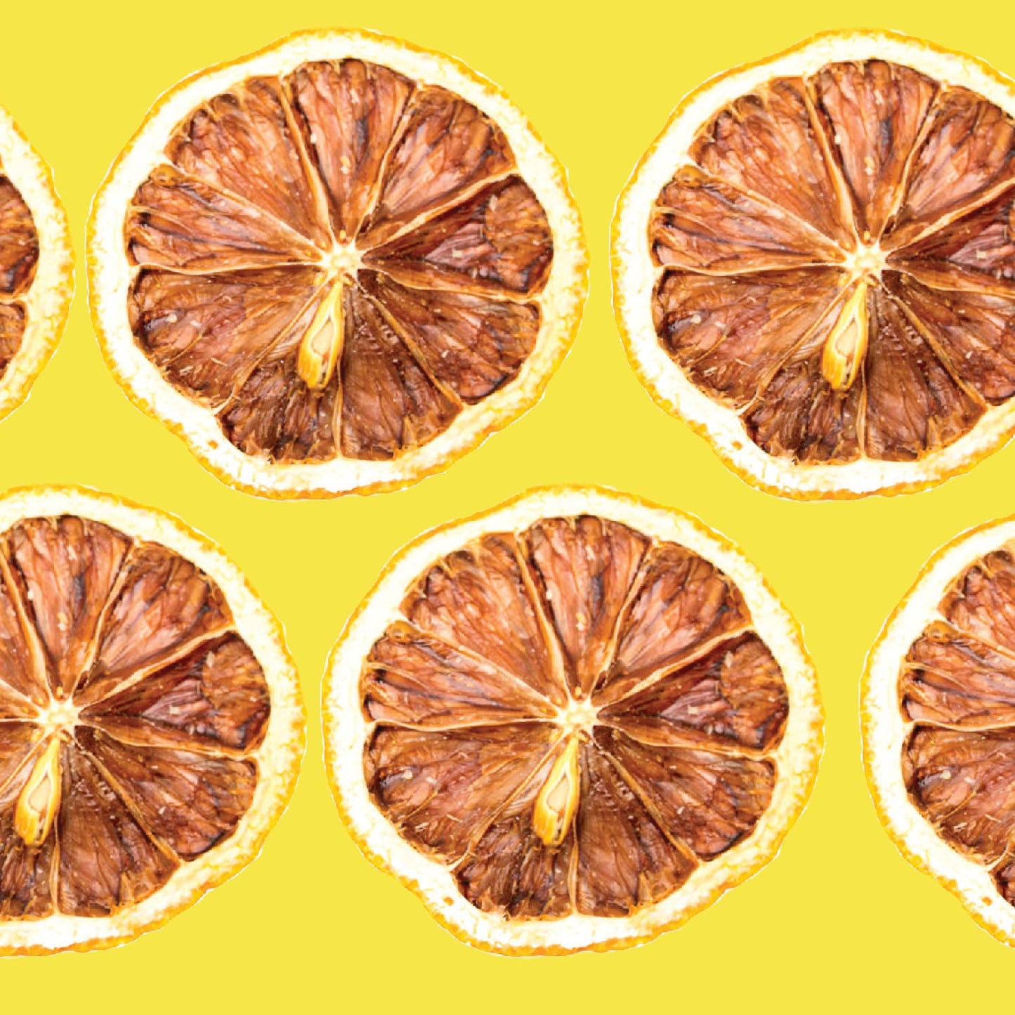BlueHenry LLC - Dehydrated Lemon Wheels (Small Case)