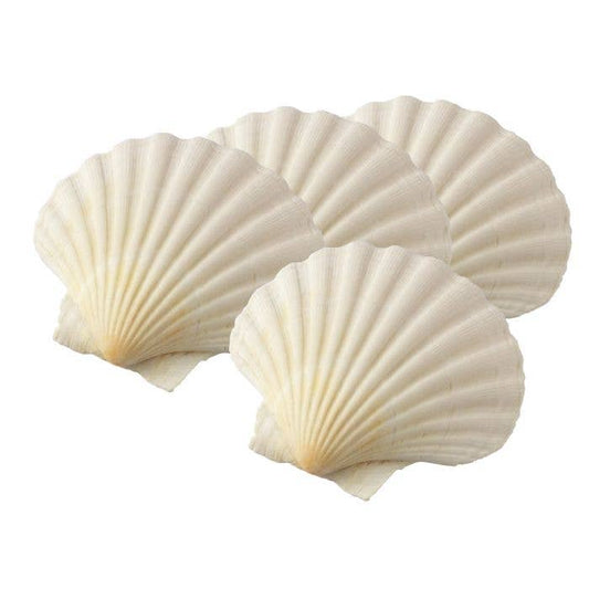Maine Man Natural Baking Shells, Set of 4