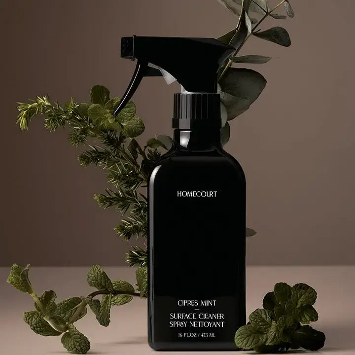 Homecourt - Surface Cleaner | Half Case