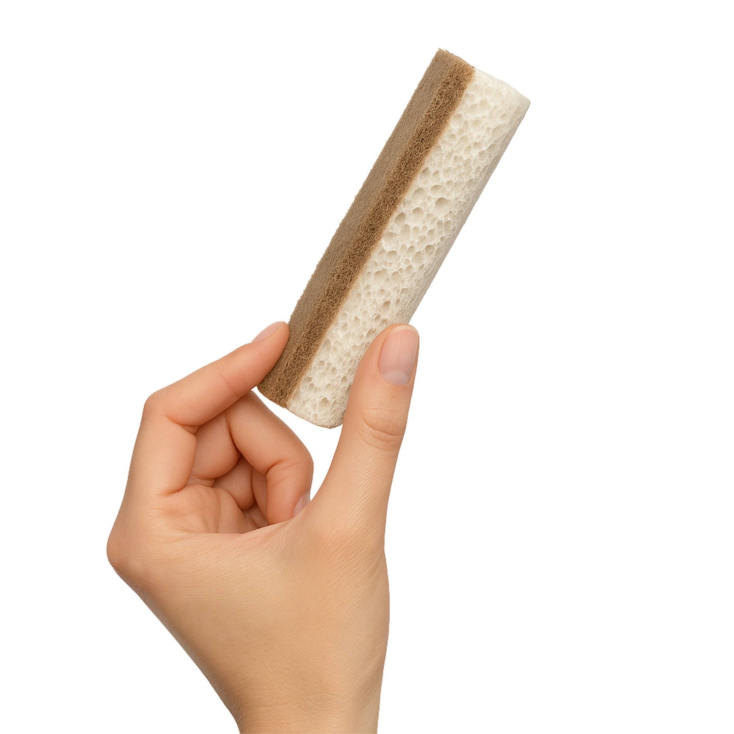 Port-Style Enterprises Inc. - Earthly CO Scrubby Sponges 8/PK