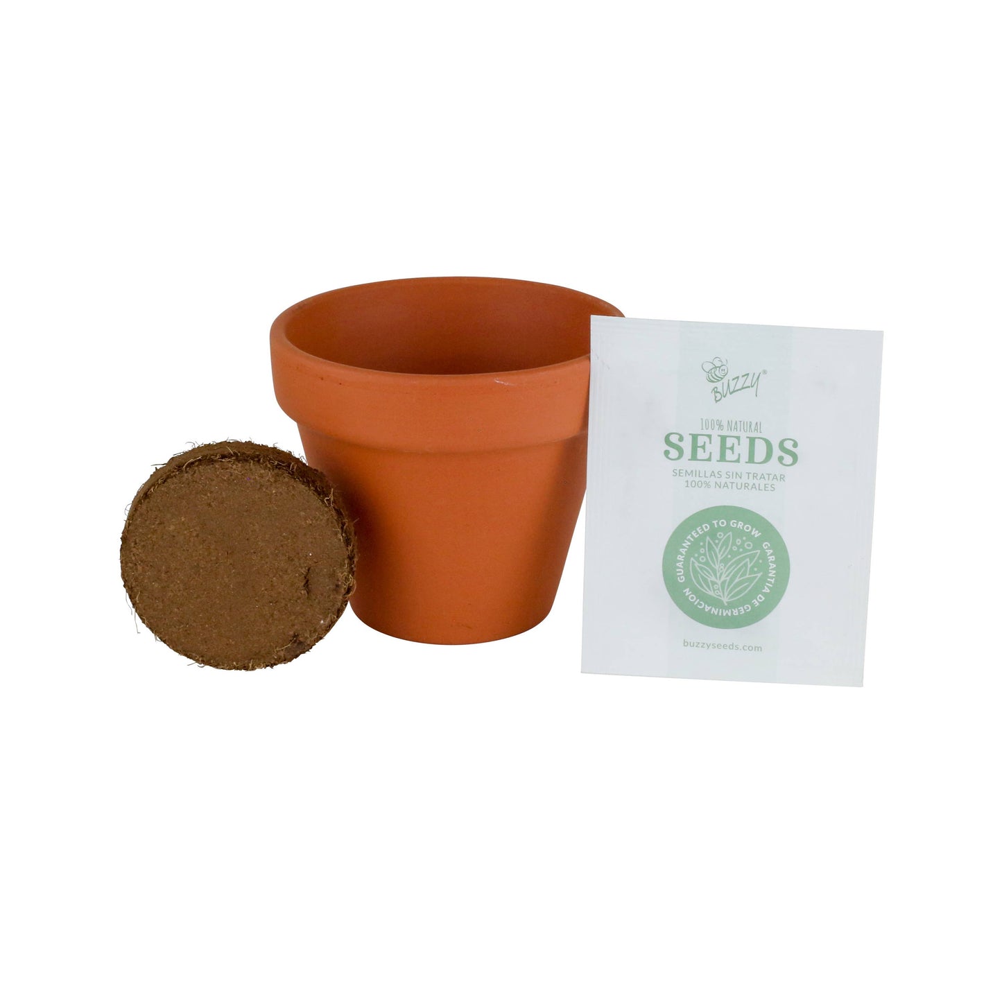 Buzzy Seeds Mini Grow Pot Grow Kit, Daisy