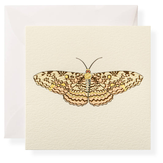Karen Adams Designs - Martha Individual Gift Enclosure