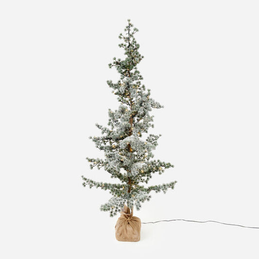 Lighted Display Pine Trees