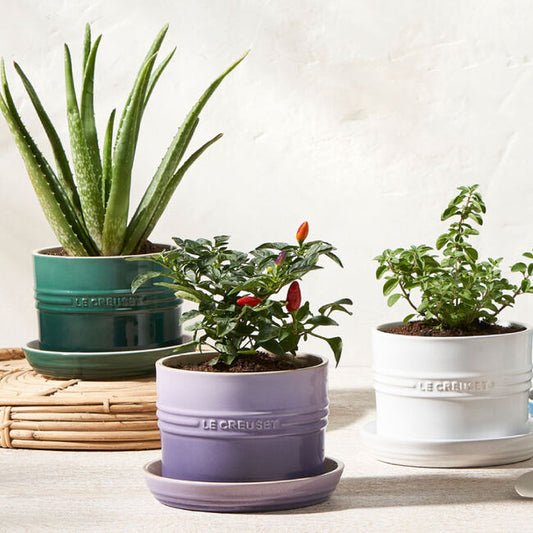 Le Creuset Herb Planter